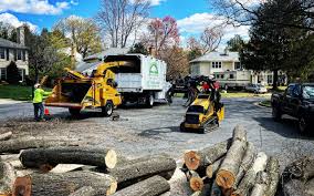 Best Arborist Consultation Services  in Trucksville, PA